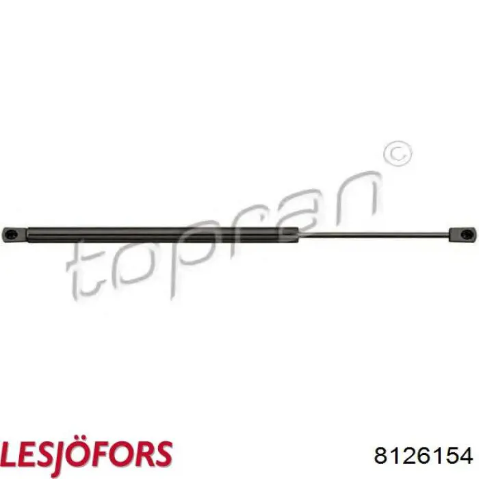 Амортизатор двері задньої Lesjofors 8126154 ціна, від 9.43 USD
