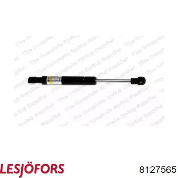 Амортизатор двері задньої Depo/Loro/Abakus 10100594 ціна, від 5.54 USD