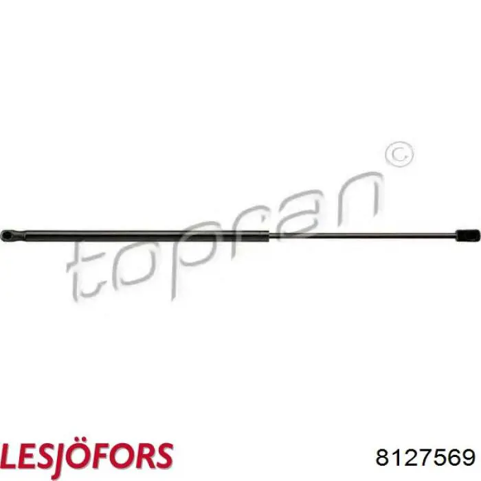 Амортизатор двері задньої Lesjofors 8127569 ціна, від 11.27 USD