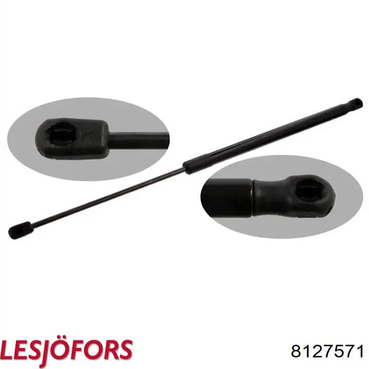 Амортизатор двері задньої Lesjofors 8127571 ціна, від 10.71 USD