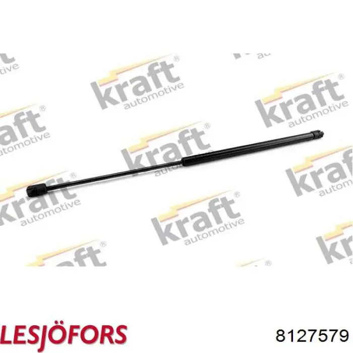 Амортизатор двері задньої Lesjofors 8127579 ціна, від 12.54 USD