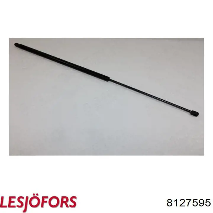 Амортизатор двері задньої Lesjofors 8127595 ціна, від 16.02 USD