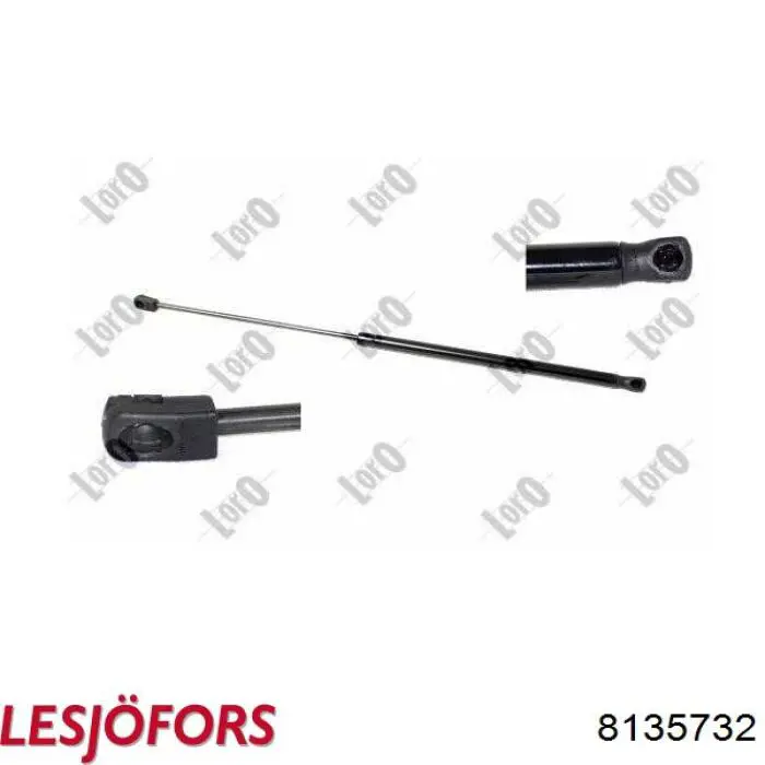 Амортизатор двері задньої Lesjofors 8135732 ціна, від 20.36 USD