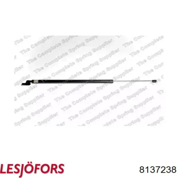 Амортизатор двері задньої Lesjofors 8137238 ціна, від 29.38 USD