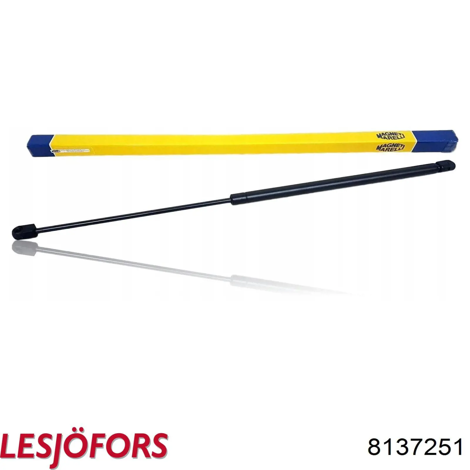 Амортизатор двері задньої Lesjofors 8137251 ціна, від 15.67 USD