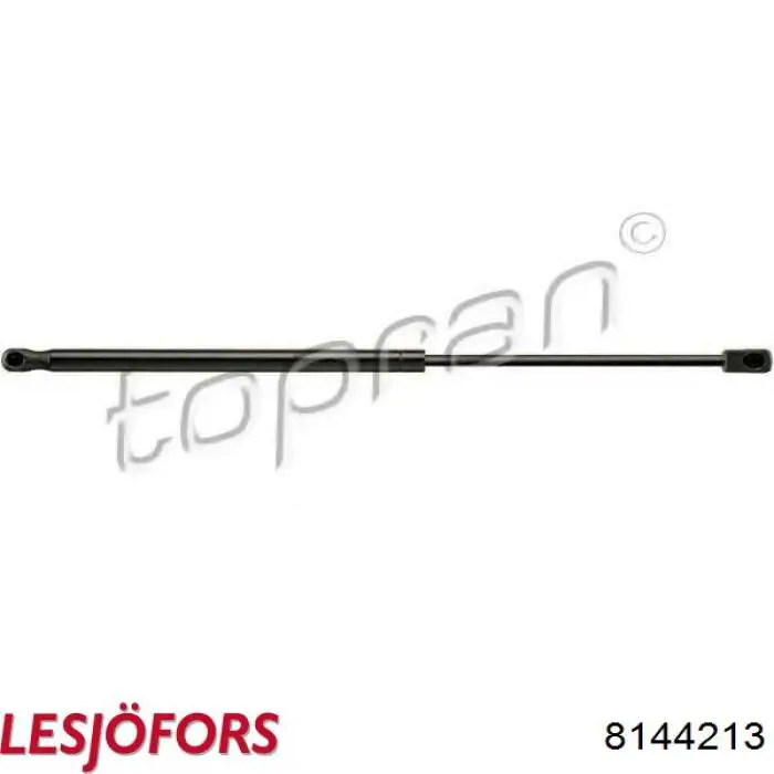 Купити 8144213 Lesjofors Амортизатор двері багажника