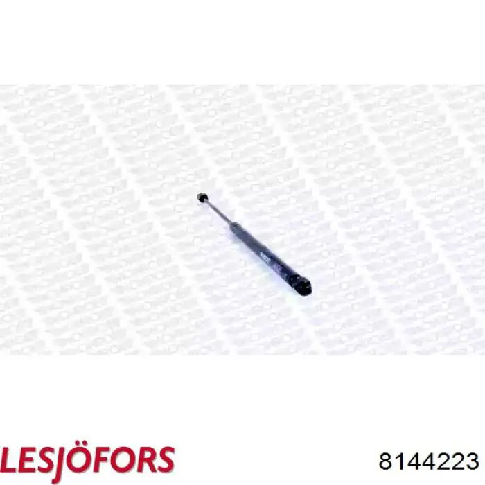 Амортизатор двері задньої Lesjofors 8144223 ціна, від 12.67 USD