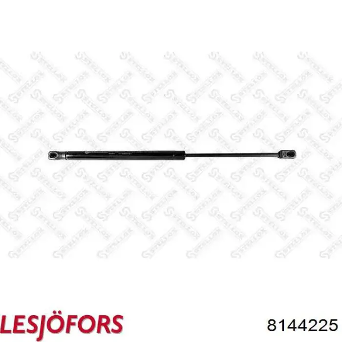 Амортизатор двері задньої Lesjofors 8144225 ціна, від 6.22 USD