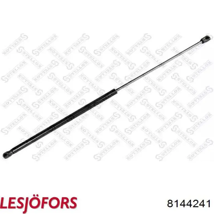 Амортизатор двері задньої Lesjofors 8144241 ціна, від 14.73 USD