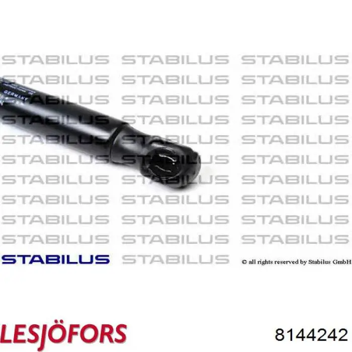 Амортизатор двері задньої Lesjofors 8144242 ціна, від 8.18 USD