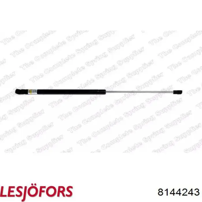 ZSK0009 Japan Parts Амортизатор кришки багажника / двері 3/5-ї задньої