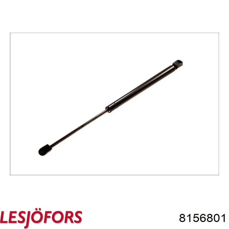Амортизатор двері задньої Lesjofors 8156801 ціна, від 6.34 USD
