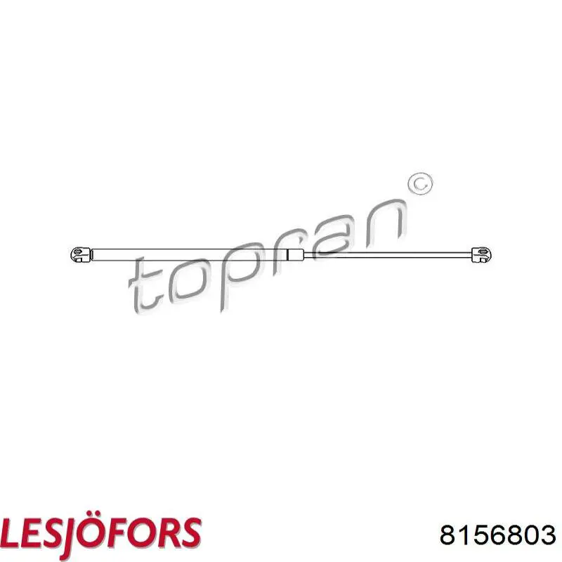 Амортизатор двері задньої Lesjofors 8156803 ціна, від 15.83 USD