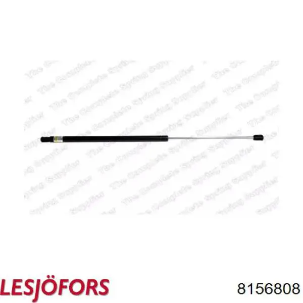 Амортизатор двері задньої Lesjofors 8156808 ціна, від 13.72 USD