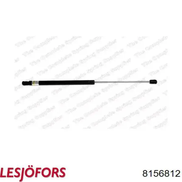 Амортизатор двері задньої Lesjofors 8156812 ціна, від 11.03 USD