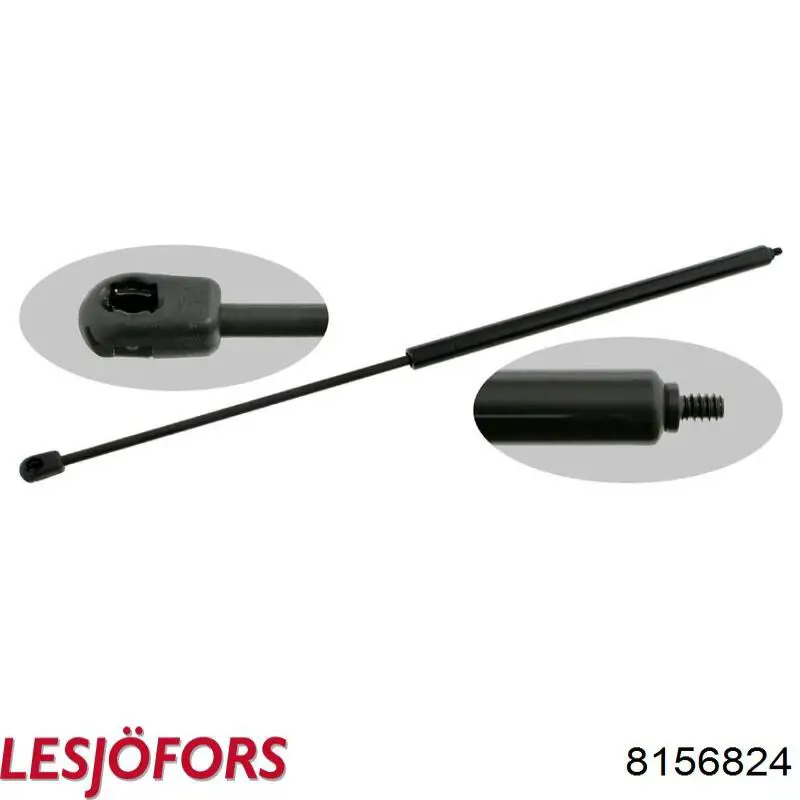 Амортизатор двері задньої Lesjofors 8156824 ціна, від 7.02 USD