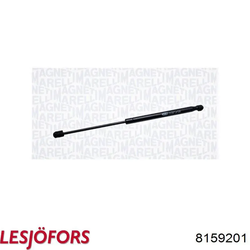 Амортизатор двері задньої Lesjofors 8159201 ціна, від 7.10 USD