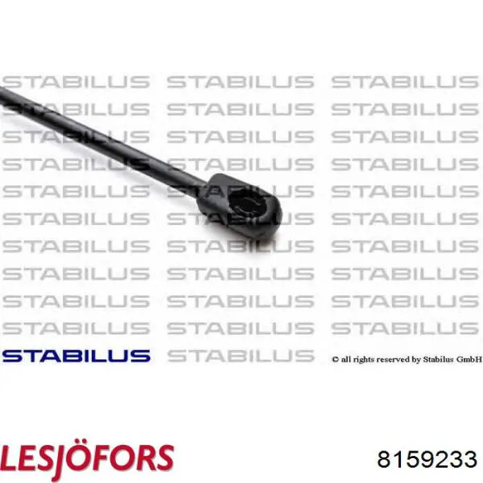 Амортизатор двері задньої Lesjofors 8159233 ціна, від 14.22 USD