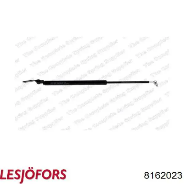 Амортизатор двері задньої Lesjofors 8162023 ціна, від 31.49 USD