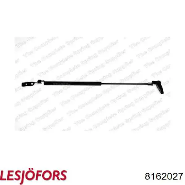 Амортизатор двері задньої Lesjofors 8162027 ціна, від 20.38 USD