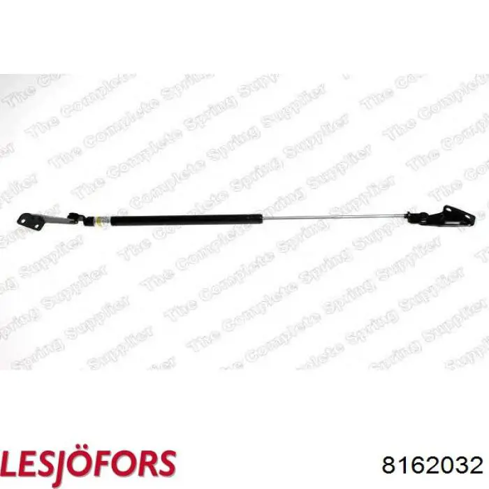 Амортизатор двері задньої Lesjofors 8162032 ціна, від 26.96 USD