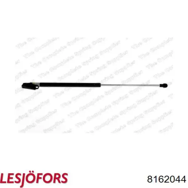 Амортизатор двері задньої Lesjofors 8162044 ціна, від 8.46 USD