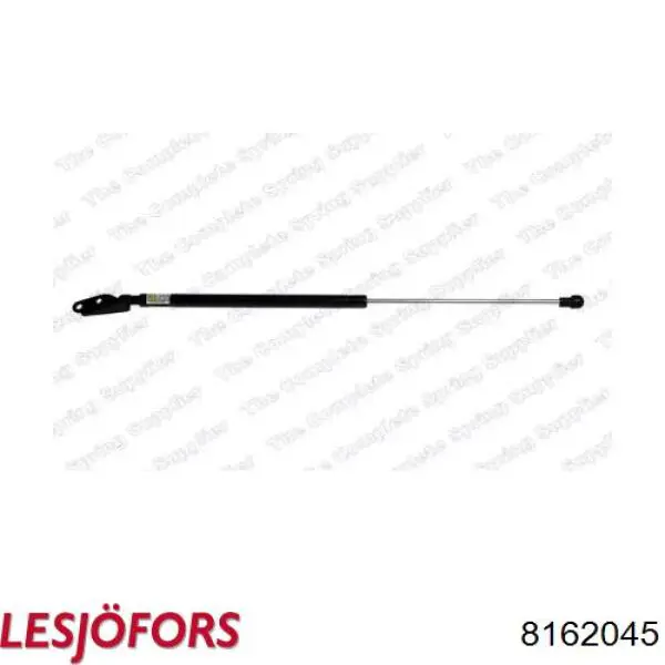 Амортизатор двері задньої Lesjofors 8162045 ціна, від 8.43 USD