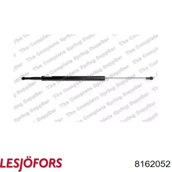 Амортизатор двері задньої Lesjofors 8162052 ціна, від 13.80 USD