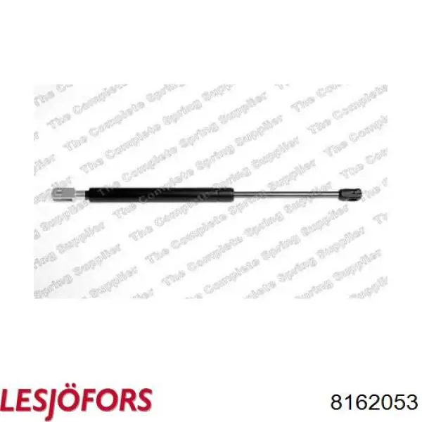 8162053 Lesjofors Амортизатор кришки багажника / двері 3/5-ї задньої