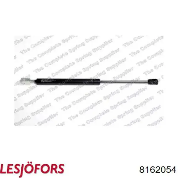 Амортизатор двері задньої Lesjofors 8162054 ціна, від 24.38 USD