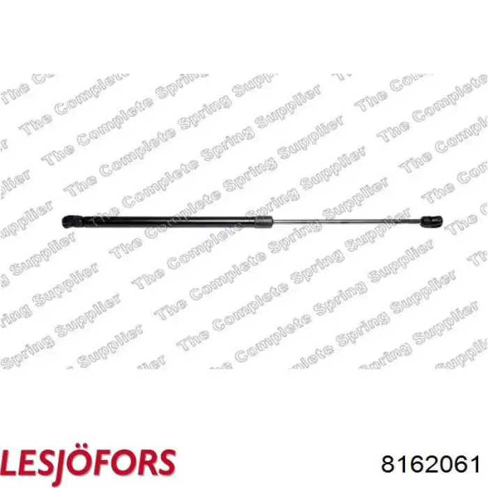 Амортизатор двері задньої Lesjofors 8162061 ціна, від 16.42 USD