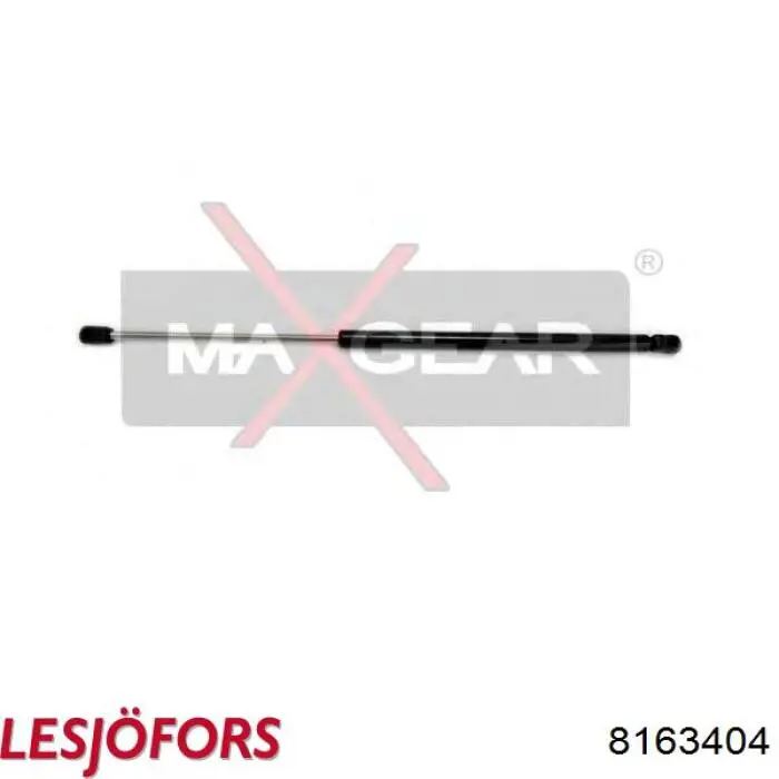 Амортизатор двері задньої Lesjofors 8163404 ціна, від 7.70 USD