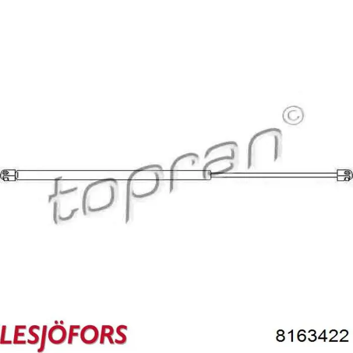 430719040100 Magneti Marelli Амортизатор кришки багажника / двері 3/5-ї задньої