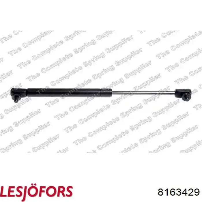 Амортизатор двері задньої Lesjofors 8163429 ціна, від 10.82 USD