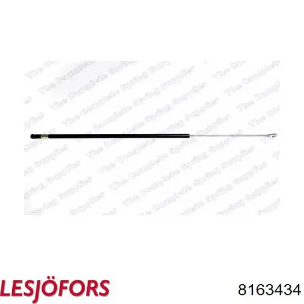 Купити 8163434 Lesjofors Амортизатор двері багажника