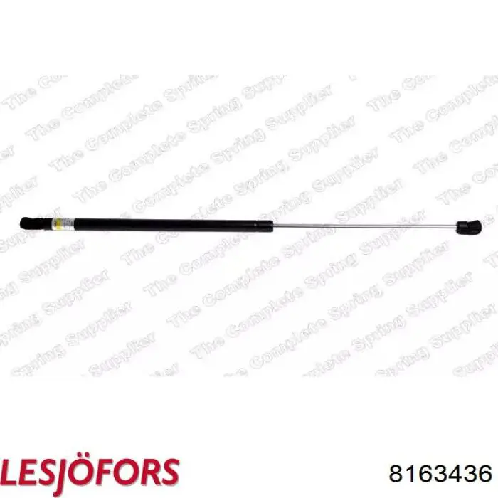 Амортизатор двері задньої Lesjofors 8163436 ціна, від 8.34 USD