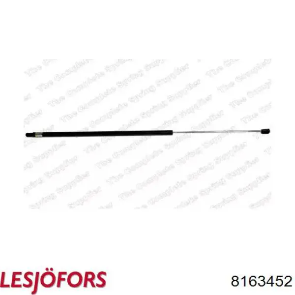 Амортизатор двері задньої Lesjofors 8163452 ціна, від 15.25 USD