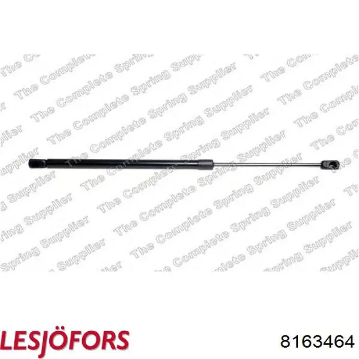 Амортизатор двері задньої Lesjofors 8163464 ціна, від 9.52 USD