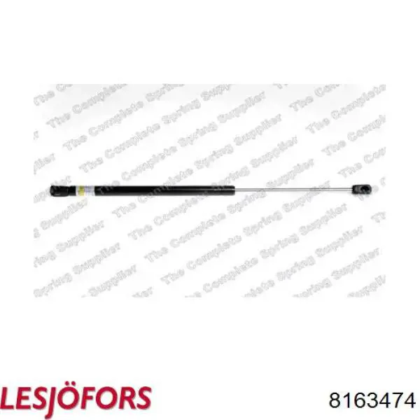 Амортизатор двері задньої Lesjofors 8163474 ціна, від 10.15 USD