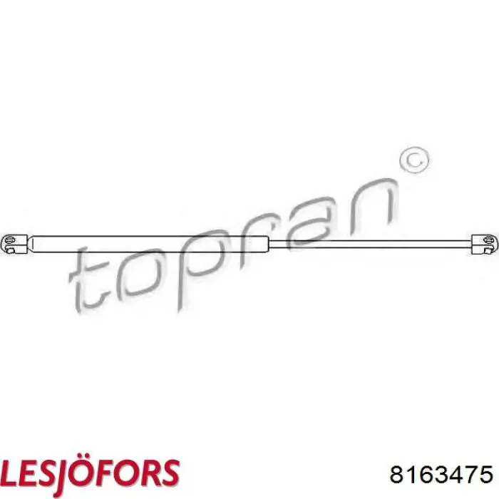 Амортизатор двері задньої Lesjofors 8163475 ціна, від 11.76 USD