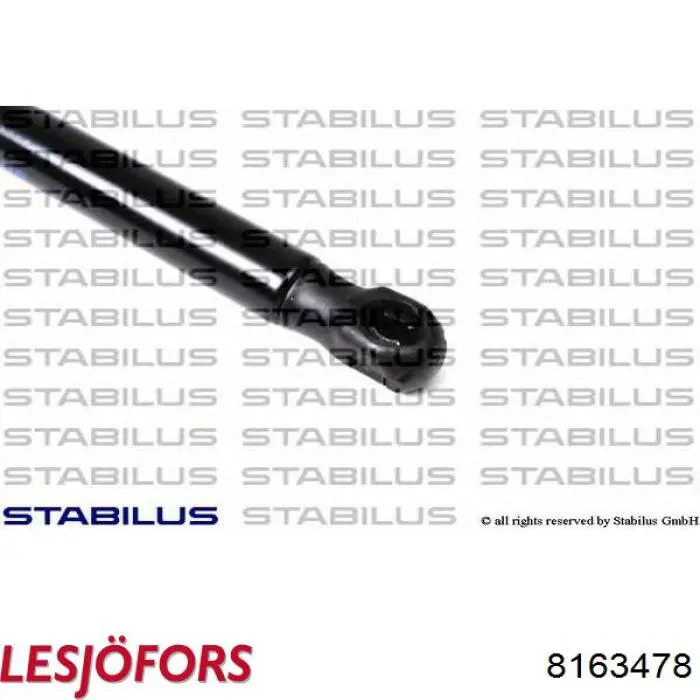 Амортизатор двері задньої Lesjofors 8163478 ціна, від 7.27 USD