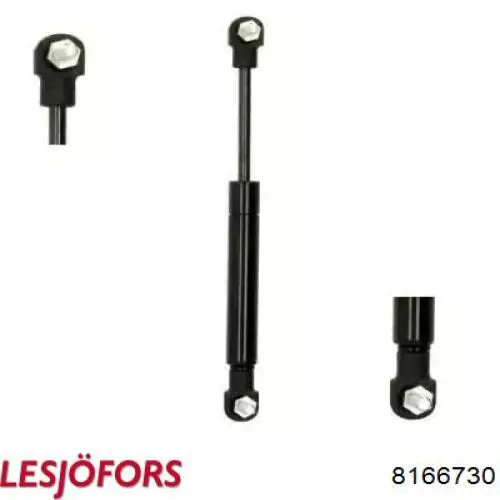 Амортизатор двері задньої Lesjofors 8166730 ціна, від 8.16 USD