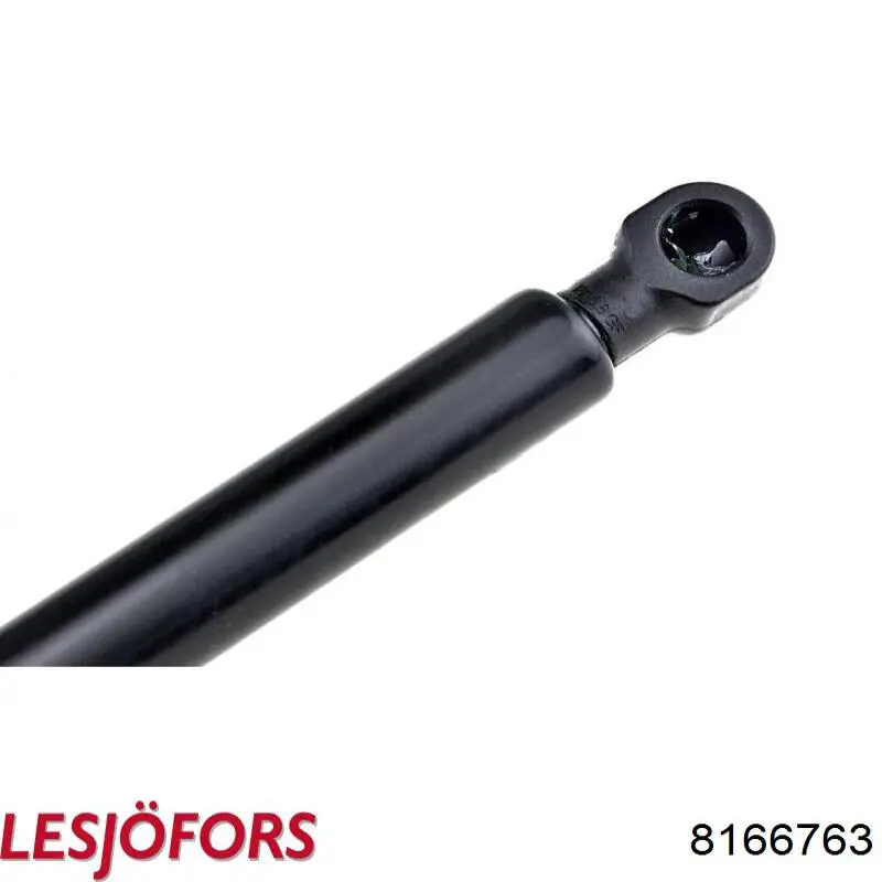 Амортизатор двері задньої Ashika ZSA06082 ціна, від 10.54 USD