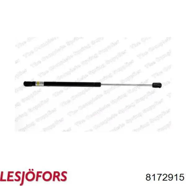 Амортизатор двері задньої Lesjofors 8172915 ціна, від 7.40 USD