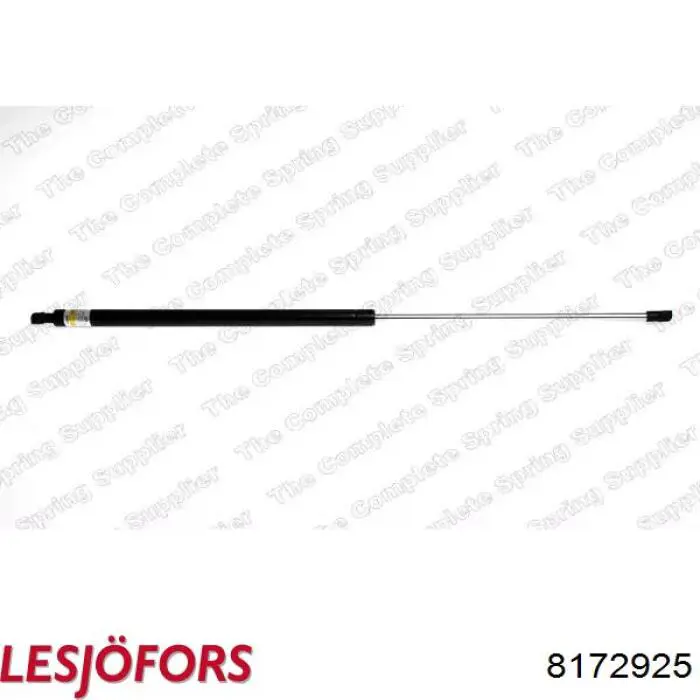 Амортизатор двері задньої Lesjofors 8172925 ціна, від 11.22 USD