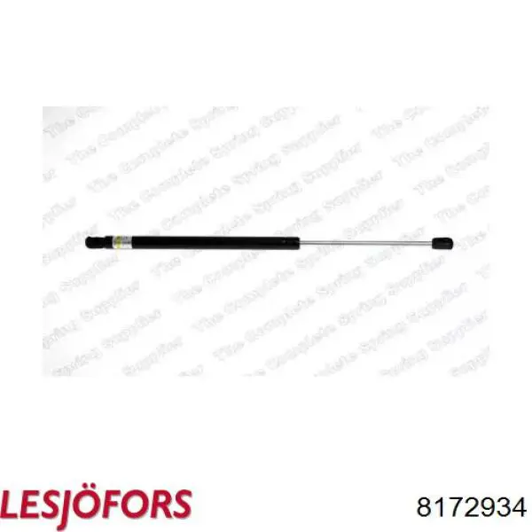 Амортизатор двері задньої Lesjofors 8172934 ціна, від 10.63 USD