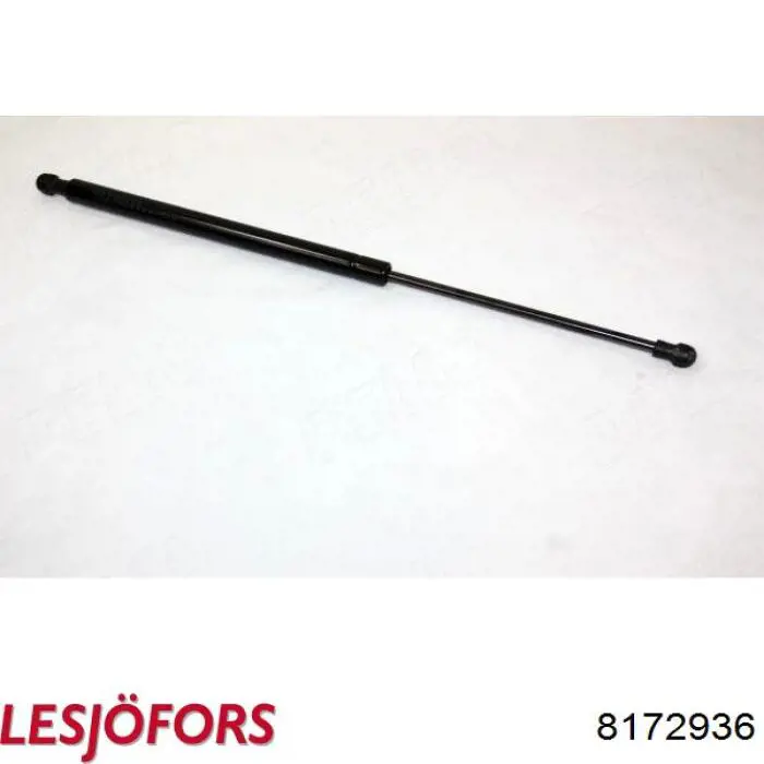 Амортизатор двері задньої Lesjofors 8172936 ціна, від 11.70 USD