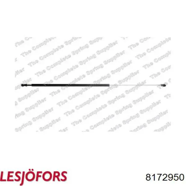 Амортизатор двері задньої Lesjofors 8172950 ціна, від 12.63 USD