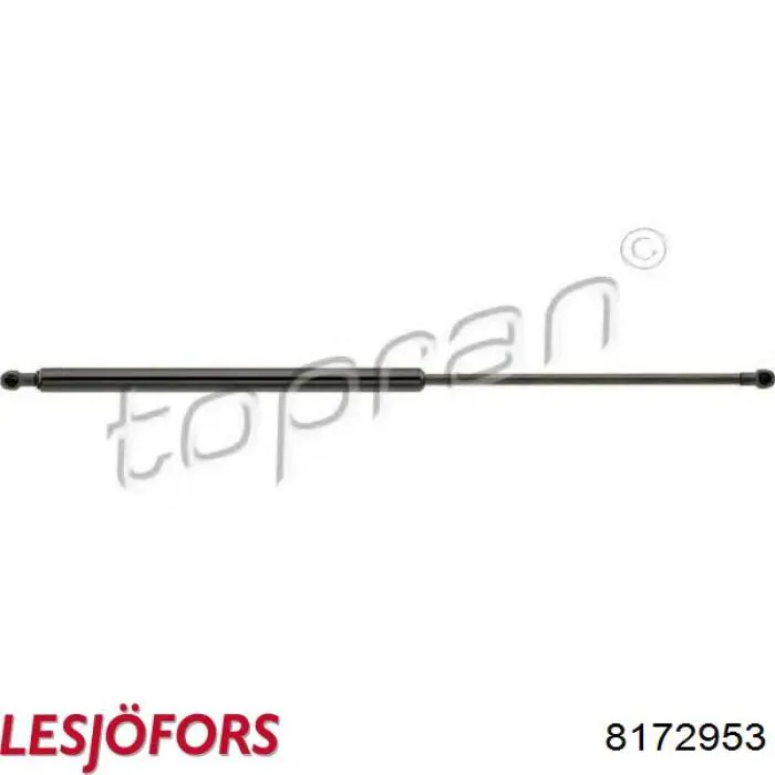 8172953 Lesjofors Амортизатор кришки багажника / двері 3/5-ї задньої