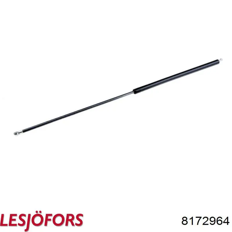 Амортизатор двері задньої Lesjofors 8172964 ціна, від 14.76 USD